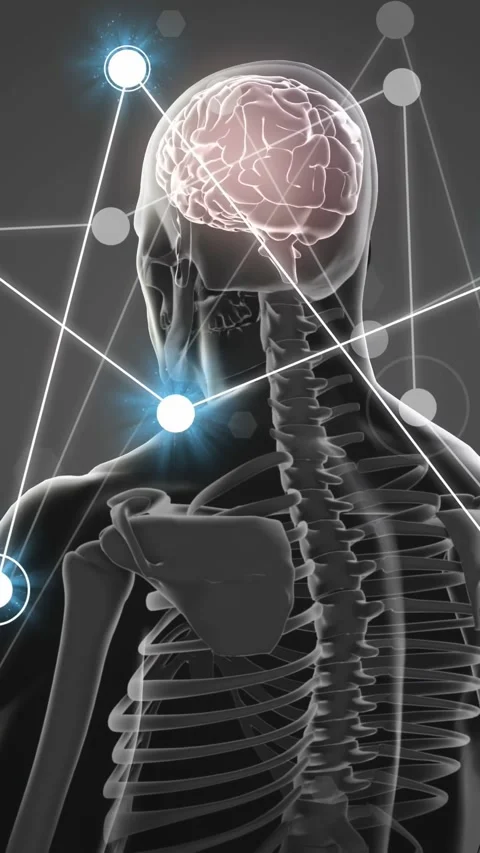 Vertical video: Camera rotating around translucent model, nodes pulsing, tracing Stock Footage 335678174