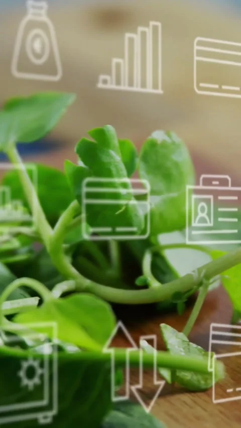 Vertical video: Camera sliding right greens shifting to sliced cucumber finance Stock Footage 334601193