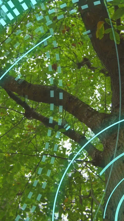 Vertical video: Camera tilting up breeze moving leaves cyan rings sweeping down Stock Footage 333821407