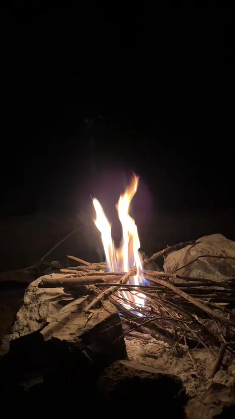 Vertical video of a campfire burning at night Stock Footage 308928706