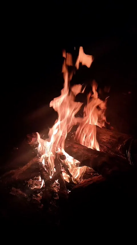 Vertical video of a campfire or fireplace at night. 4K Stock Footage 287688663
