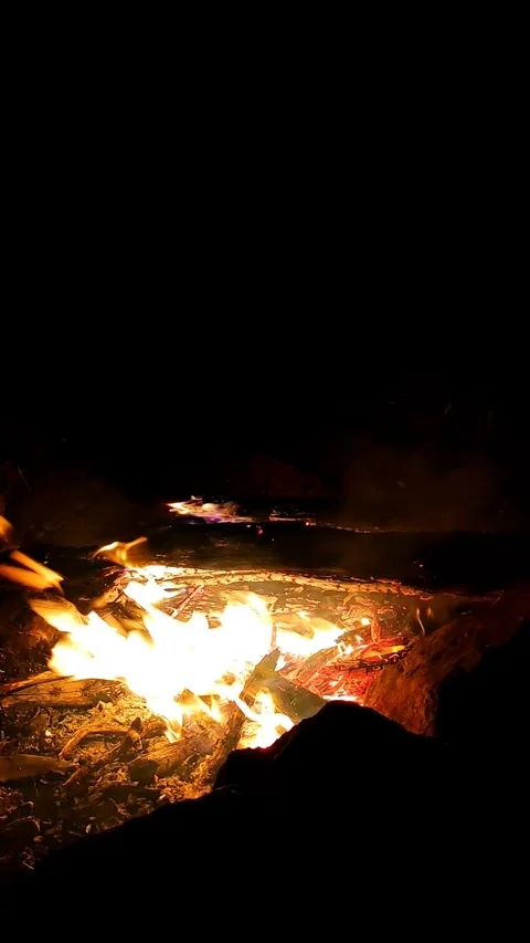 Vertical video of a campfire or fireplace at night. 4K Stock Footage 289090759