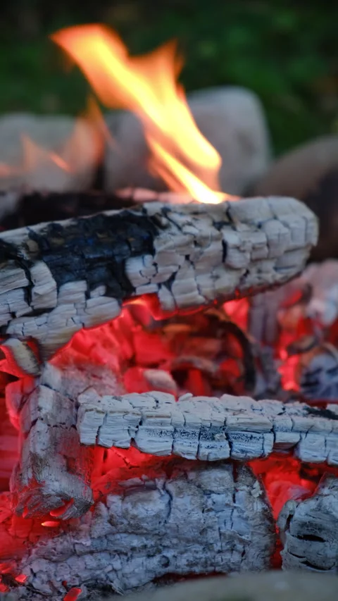 Vertical video of campfire at warm evening. Burning old wood in autumn time Stock Footage 287414634