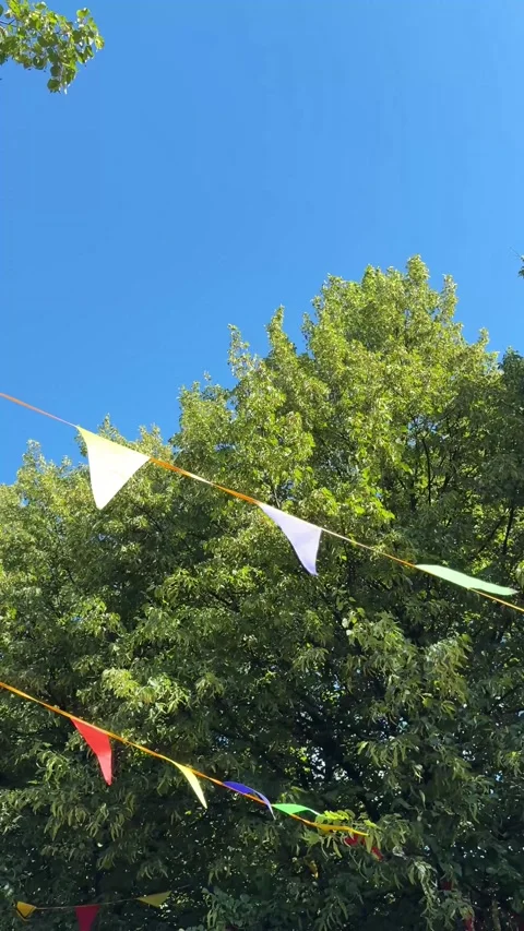 Vertical video capturing colorful flags in bright hues, suspended between trees Stock Footage 317625096