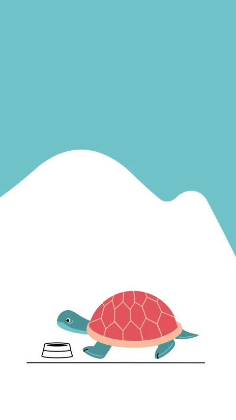 Vertical video of cartoon turtle on white background. Stockbeeldmateriaal 172014607