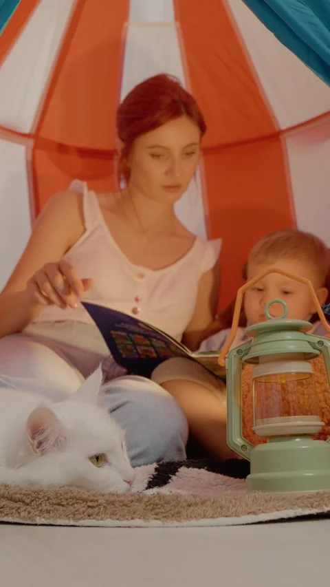 Vertical video Cat cuddles and storytime in a cozy tent with mother and son Stock Footage 329619386