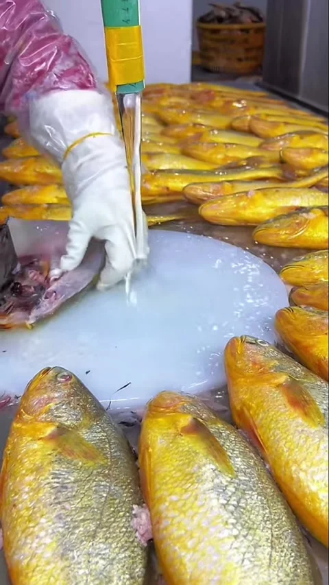 Vertical Video Chef Cleaning and Gutting Fresh Golden Yellow Croaker Fish Un Video stock 326979098