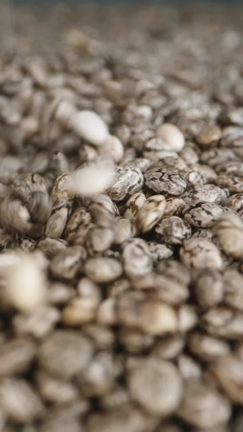 Vertical video. Chia Seeds Falling from above, Forming a pile. Dolly slider extr Stock Footage 254896330
