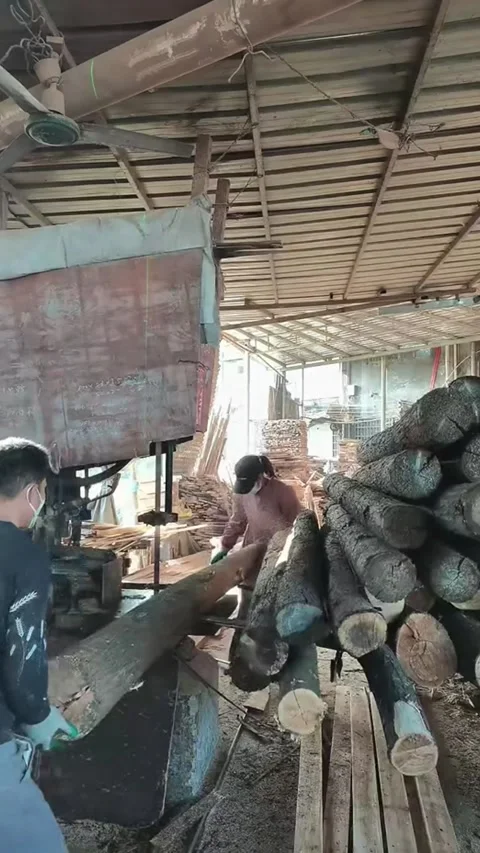 Vertical Video Chinese Workers Cutting Logs at a Timber Sawmill with Machine Stock Footage 326847021