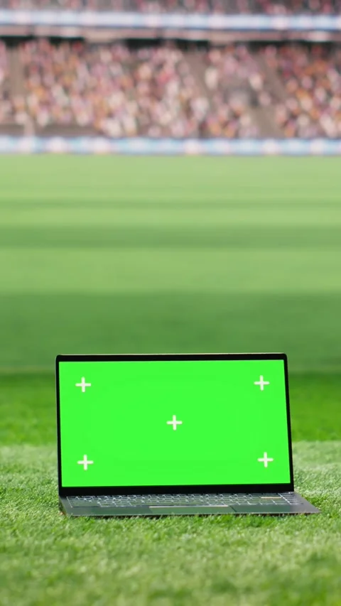 Vertical Video Chroma key isolated laptop screen placed at low angle on grass Video stock 338047410