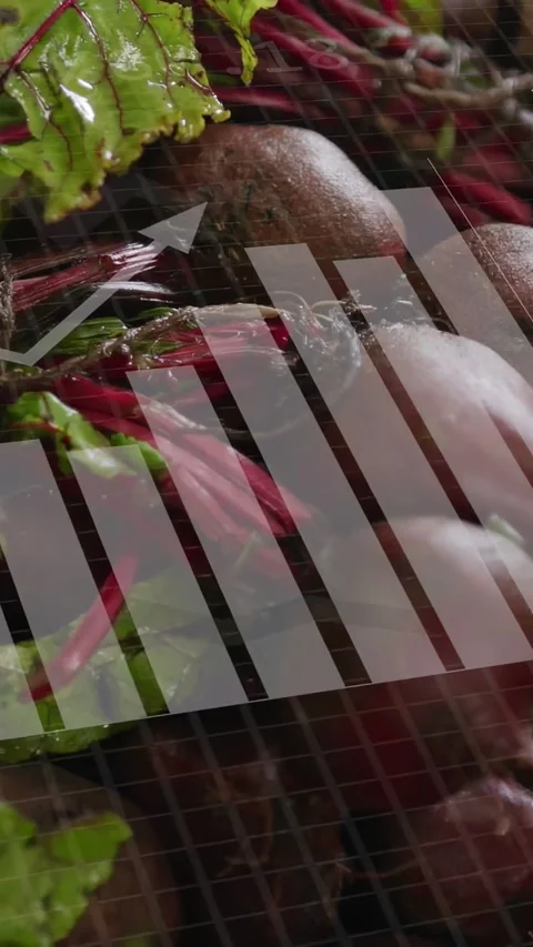 Vertical video: On circles appearing, HUD analyzing beetroots, charts rising, Stock Footage 333954427