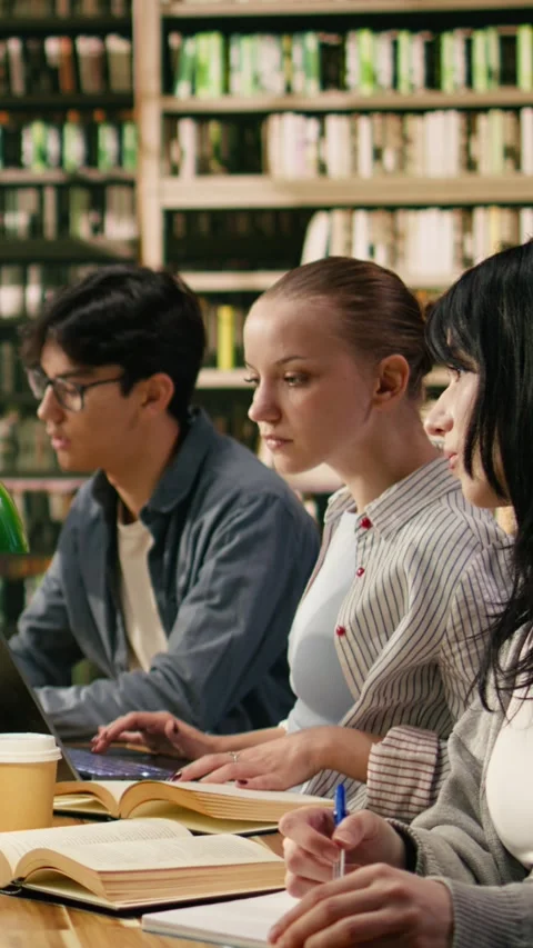 Vertical Video Classmates and tutor in study group working with open books at Stock Footage 336378670