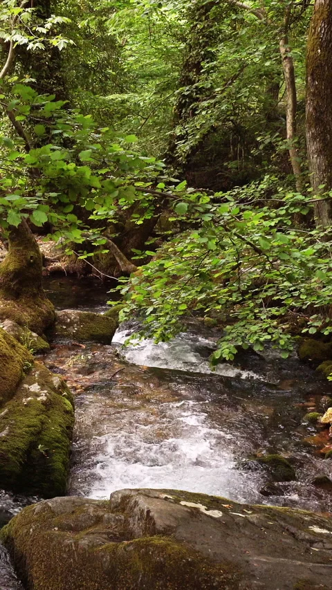 Vertical video, Clean stream coming from the mountains Stockbeeldmateriaal 296117485
