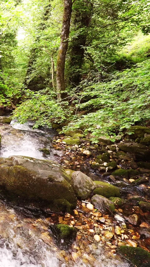 Vertical video, Clean stream coming from the mountains 動画素材 296117503
