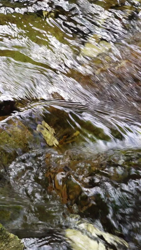 Vertical video, Clean stream coming from the mountains 動画素材 296187765