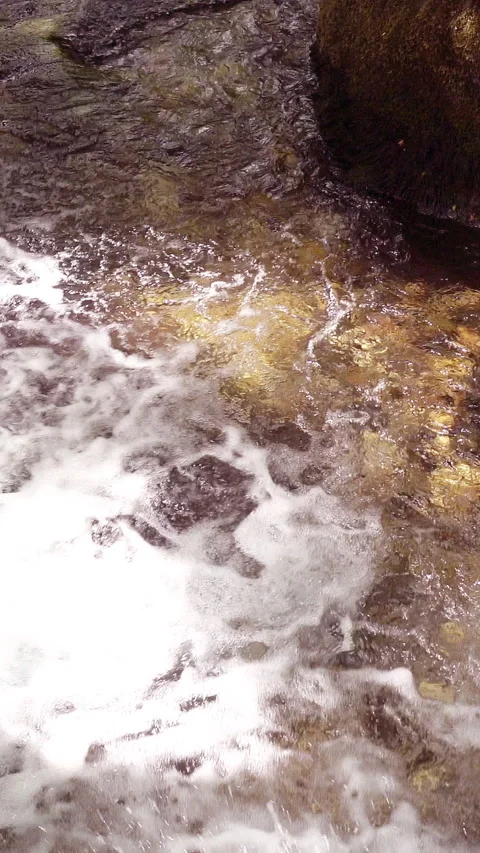 Vertical video, Clean stream coming from the mountains 動画素材 296187956