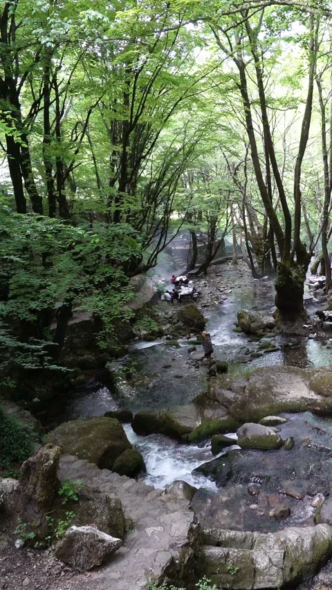 Vertical video, Clean stream coming from the mountains 動画素材 296228513