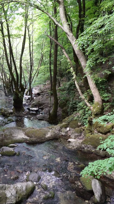 Vertical video, Clean stream coming from the mountains Video stock 296228537