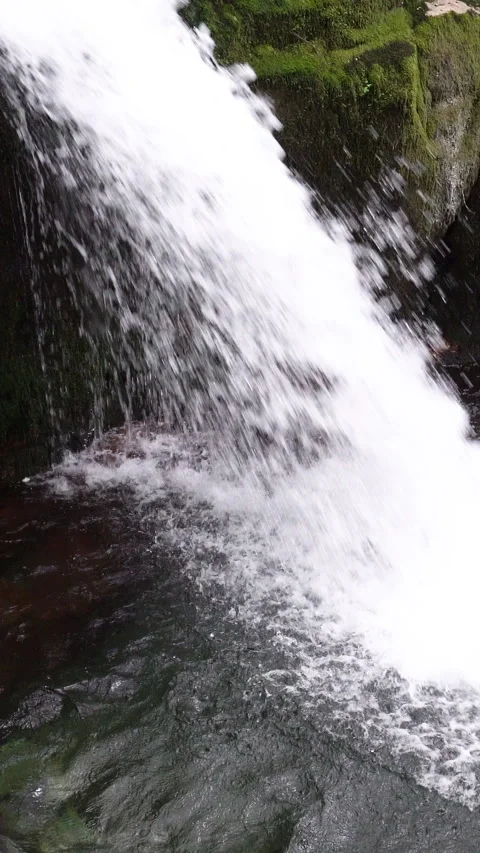 Vertical video, Clean stream coming from the mountains Vidéo 296228581