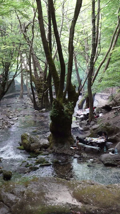 Vertical video, Clean stream coming from the mountains 库存影片 296228592