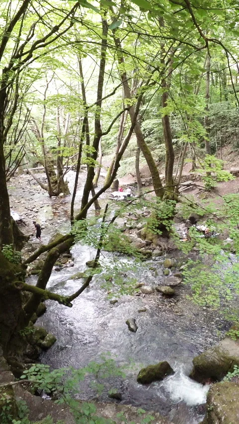 Vertical video, Clean stream coming from the mountains Video stock 296228873