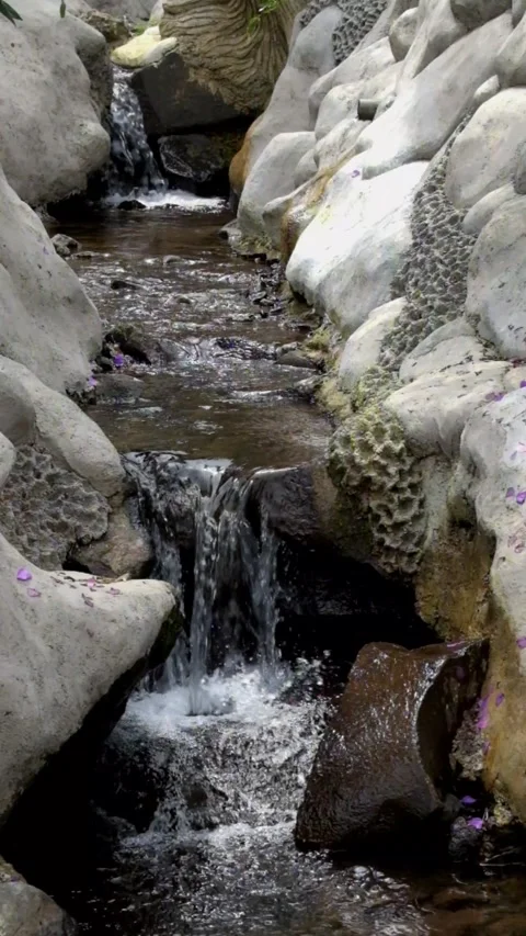 Vertical video of clear artificial river and waterfall Stock Footage 320981557