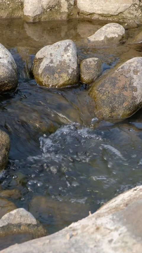 Vertical video of Clear freshwater stream flowing over river rocks and bould Stock Footage 342957800