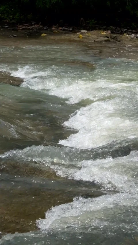 Vertical video of clear mountain river cascade flowing over rocks Video stock 336877856