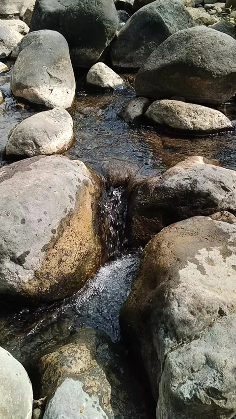 Vertical video of a clear mountain stream flows over gray and tan stones Stock Footage 342962307