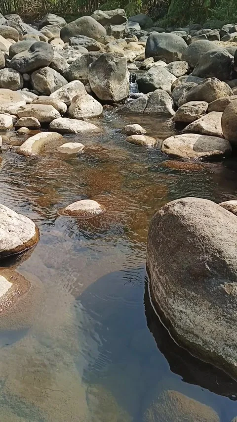 Vertical video of clear mountain stream flowing over smooth river rocks Stock Footage 342964716