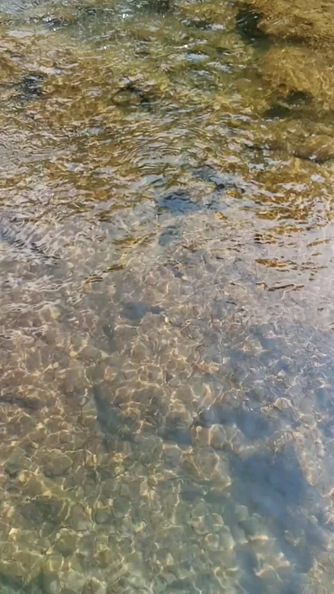 Vertical video of clear shallow river stream flowing over pebble bed with su Video stock 342964816