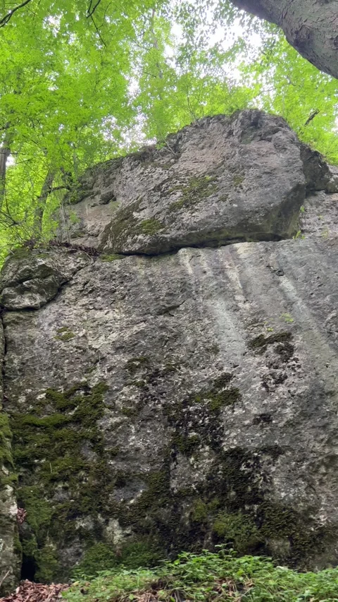 Vertical video of cliffs and trees at Panienskie Skaly in Wolski Forest, Krakow Stock Footage 308929946