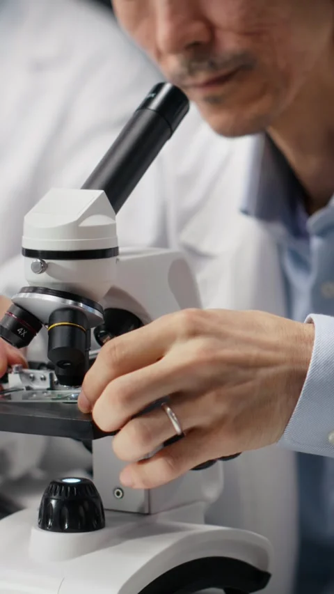 Vertical video Clinical microbiologist examining microscope glass slide in Stock Footage 319505634