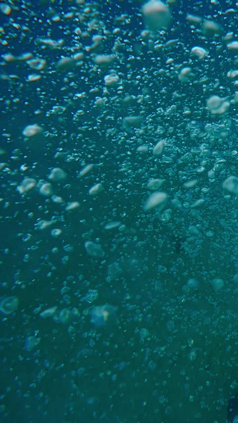 Vertical video, Close-up of air bubbles flow rises from down, Slow motion, Top Stock Footage 310183099