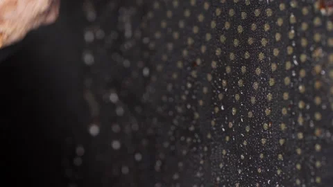 Vertical video. Close-up of a burger patty frying on a pan. Video stock 229488102