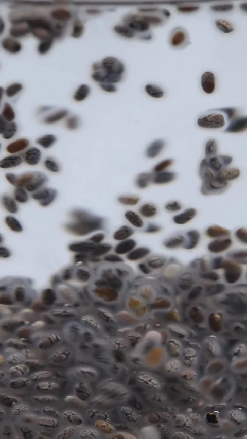 Vertical video. Close-up of chia seeds floating and expanding in clear water, Stock Footage 304957971