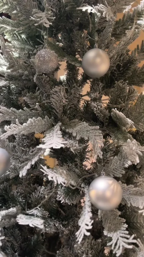 Vertical video of close Christmas tree view with frosted branches Stock Footage 322967687