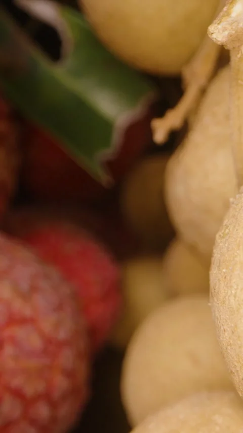 Vertical video. Close-Up of Fresh Lychee and Longan Fruits Clustered on Branches Stock Footage 311031900