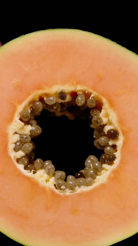 Vertical video. Close-Up of Hand Holding and Examining Round Slice of Papaya 스톡 동영상 313249100