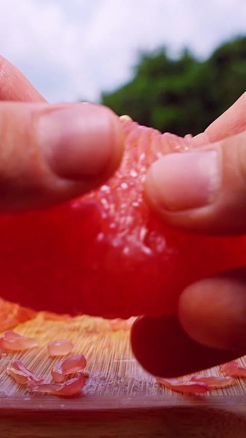 Vertical video. Close Up of Hands Pulling Apart Red Pomelo Segment Showing Trans Stock Footage 331017495