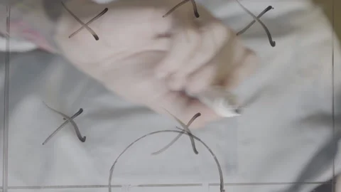 Vertical video close up of Soccer Coach drawing tactics with marker Stock Footage 230231376