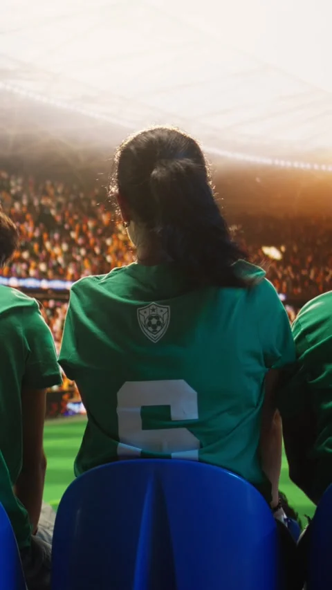 Vertical video Close up of soccer fans starting crowd wave across sports arena Stock Footage 341678552