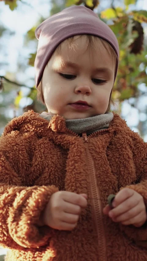 Vertical video. Close-up of a toddler having a great time in the autumn forest Stock Footage 322011186