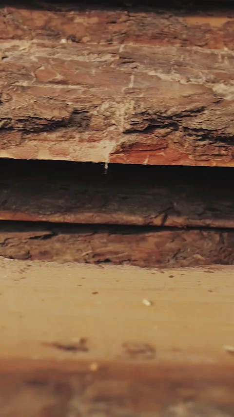 Vertical video. Close-up of tree bark in a factory warehouse. Edged boards Stock Footage 323451375