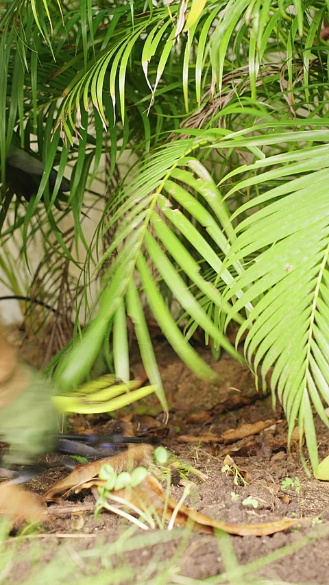 Vertical video. Close View of Gloved Hands Loosening Soil with a Green Hand Cult Stock Footage 340221808
