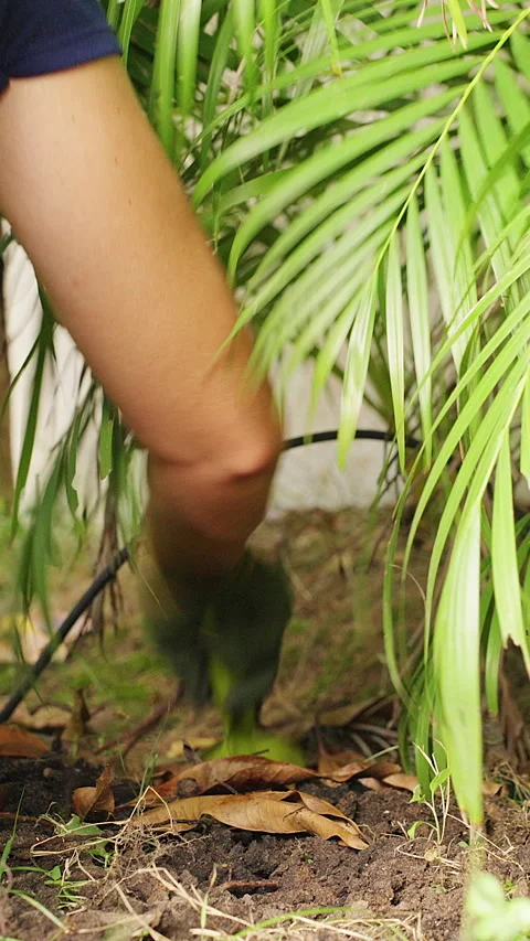 Vertical video. Close View of a Gloved Woman Cultivating Soil with a Hand Tool b Stock Footage 340253270
