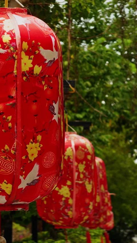 Vertical video. Close View of Red Lanterns with Crane and Blossom Patterns Hangi Stock Footage 323644110