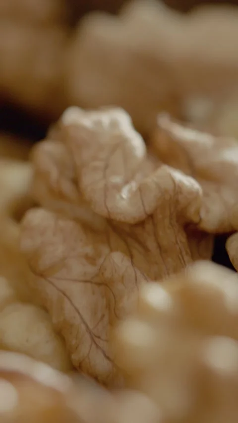 Vertical video Close-up of walnut kernels showcasing healthy fats and natural Stock Footage 329617594
