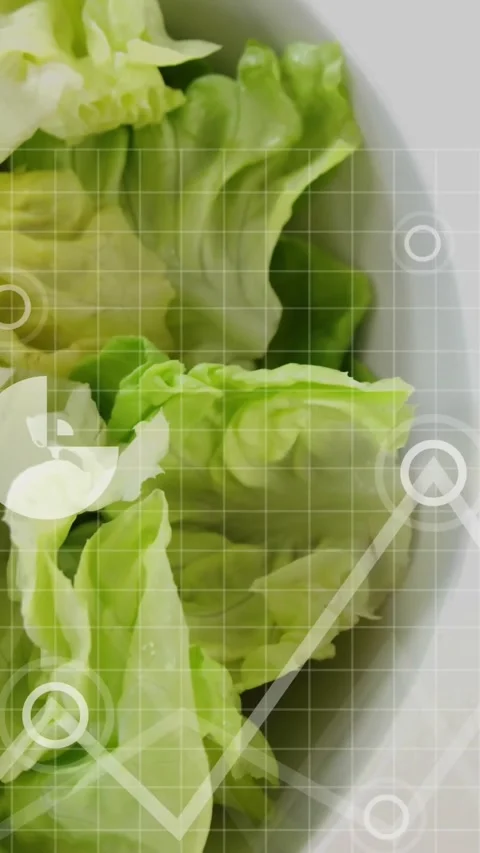 Vertical video: Cloud icon appearing and expanding data overlays sliding over Stock Footage 334319293