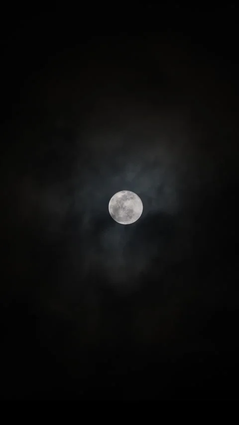 Vertical video - Cloudy Full Moon Stock Footage 319033306